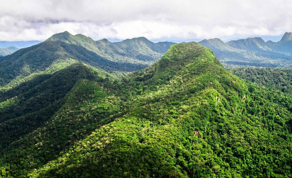 Belize Seeks CfRN Support on UNFCCC REDD+ Framework